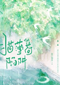貓薄荷陷阱